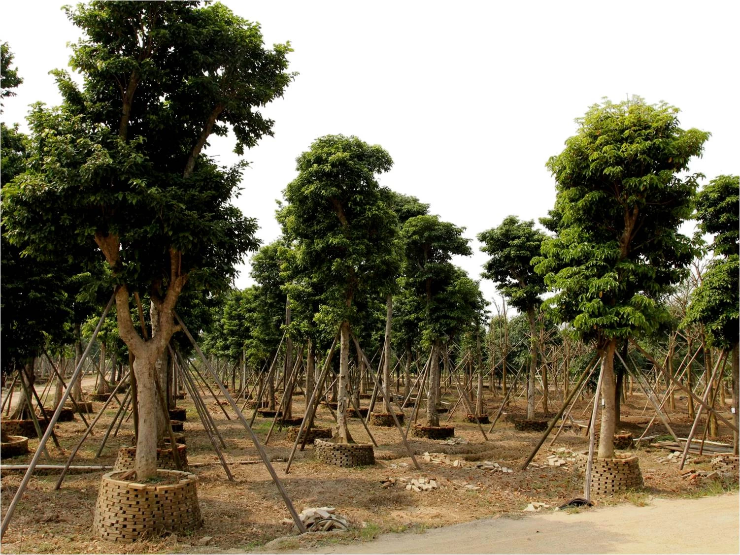 Gardens